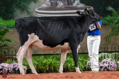 A100554-28594 A100554-28594