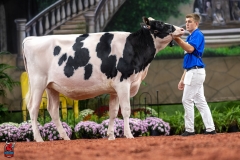 A100557-28595 A100557-28595