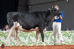 A100572-28597 A100572-28597