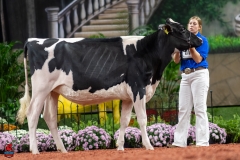 A100579-28598 A100579-28598