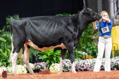 A100588-28599 A100588-28599