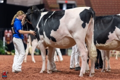 A100593-28600 A100593-28600