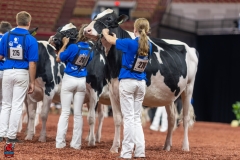 A100595-28601 A100595-28601