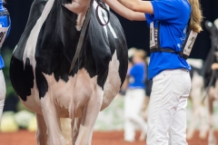 A100598-28602 A100598-28602