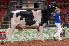 A100611-28603 A100611-28603