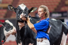 A100630-28605 A100630-28605