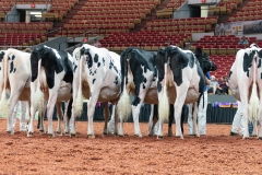 AR300018-Edit AR300018-Edit