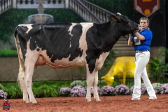 A100882-28631 A100882-28631