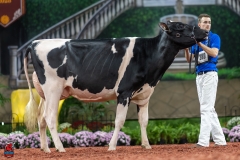 A100884-28632 A100884-28632