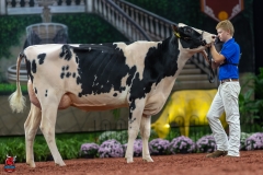 A100915-28633 A100915-28633