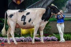 A100919-28634 A100919-28634