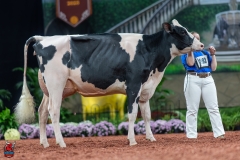 A100941-28635 A100941-28635