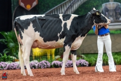 A100949-28636 A100949-28636