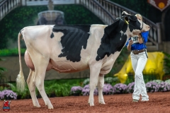 A100970-28637 A100970-28637