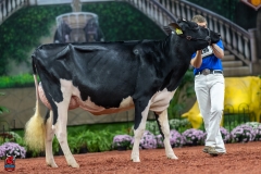 A100989-28638 A100989-28638