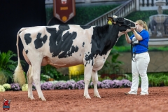 A101019-28640 A101019-28640