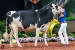 A101023-28641 A101023-28641