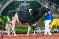 A101045-28642 A101045-28642