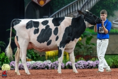 A101052-28643 A101052-28643