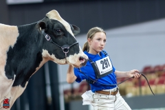 A101068-28644 A101068-28644