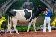 A101077-28645 A101077-28645