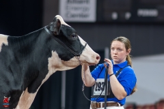 A101084-28646 A101084-28646