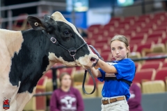 A101087-28647 A101087-28647