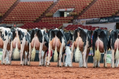 AR300013-2-Edit AR300013-2-Edit