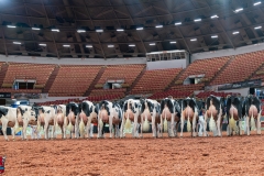 AR300018-2-Edit AR300018-2-Edit