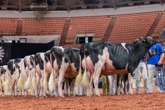 AR300020-2-Edit AR300020-2-Edit