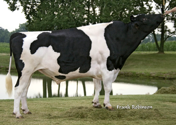 7HO7466 Robthom MOSCOW-ET (EX-94-GM) 7HO7466 Robthom MOSCOW-ET (EX-94-GM)