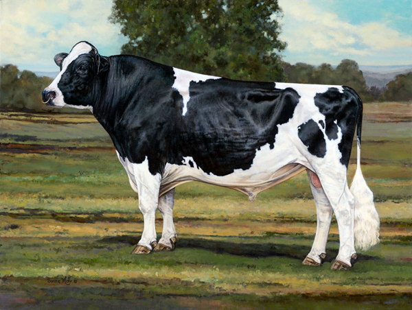 Bonnie Mohr - Ideal True Type Holstein Bull 