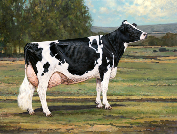 Bonnie Mohr -  Ideal True Type Holstein Cow 