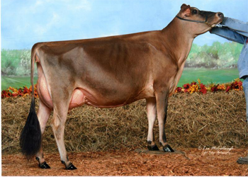 Intermediate & Grand Champion: Cascadia Iatola Puzzle, 1st Senior 3 Year Old, Craig Walton and Gene Iager, OH & MD Intermediate & Grand Champion: Cascadia Iatola Puzzle, 1st Senior 3 Year Old, Craig Walton and Gene Iager, OH & MD