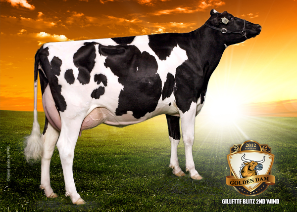 GILLETTE BLITZ 2ND WIND VG-88-3YR-CAN      35*