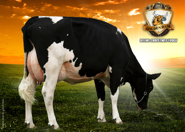 RALMA CHRISTMAS FUDGE VG-88-2YR-USA    DOM GMD  