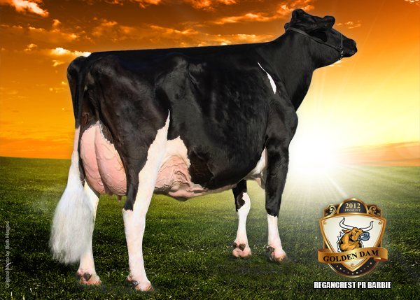 REGANCREST-PR BARBIE EX-92-7YR-USA    DOM GMD   3*