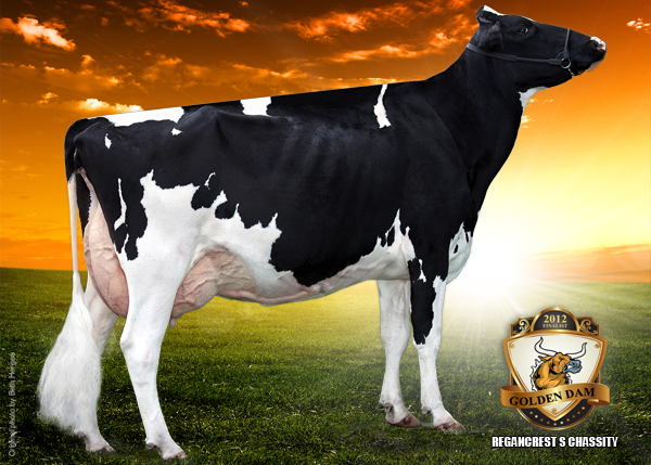 REGANCREST S CHASSITY EX-92-4YR-USA    DOM