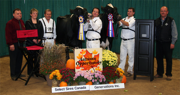 Autumn Opportunity Holstein Show
