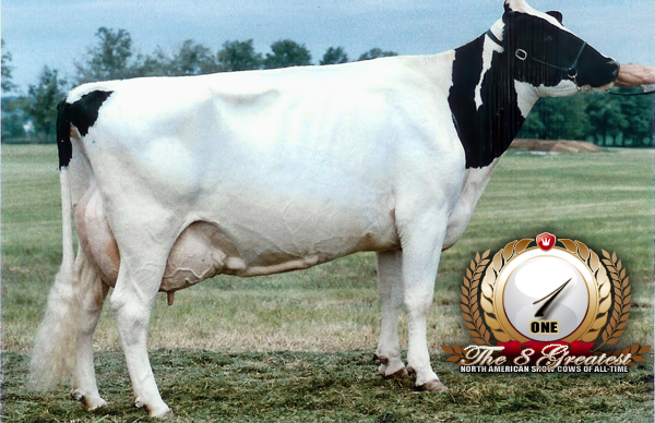 BROOKVIEW TONY CHARITY EX-CAN EX-97-5YR-USA DOM 13*