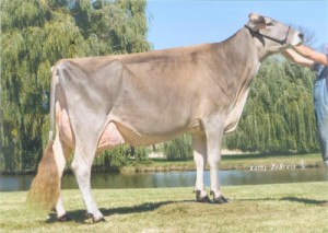 Grand Champion Forest Lawn Whistler Molly 2EX94 Grand Champion Forest Lawn Whistler Molly 2EX94