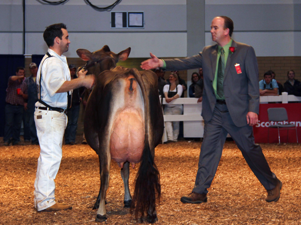 Grand Champion - Arethusa Response Vivid Grand Champion - Arethusa Response Vivid