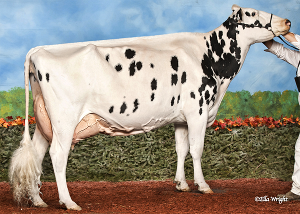 HUNTSDALE SHOTTLE CRUSADE EX-93-CAN