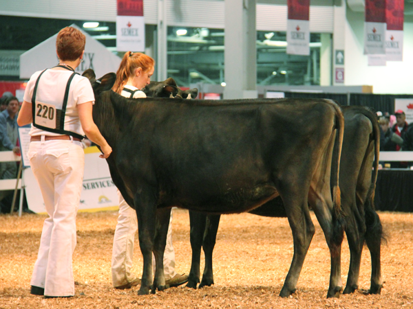 Junior and Res Junior Champion Junior and Res Junior Champion