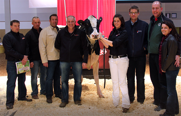 Cookiecutter MOM Hue sold for $200,000 to Diamond Genetics, GenerVations, O’Connor and Mapel Wood