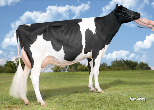 Senior Champion & Grand Champion - Team Durham Morgan (Regancrest Elton Durham) Team Holsteins, Hampshire, IL Senior Champion & Grand Champion - Team Durham Morgan (Regancrest Elton Durham) Team Holsteins, Hampshire, IL
