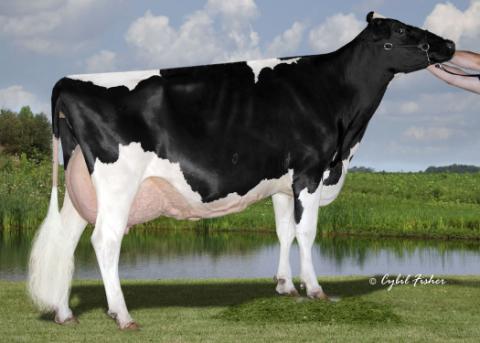 J&K-Vue Sovereign Gem now EX-95/94MS @ 5-06 (USA)