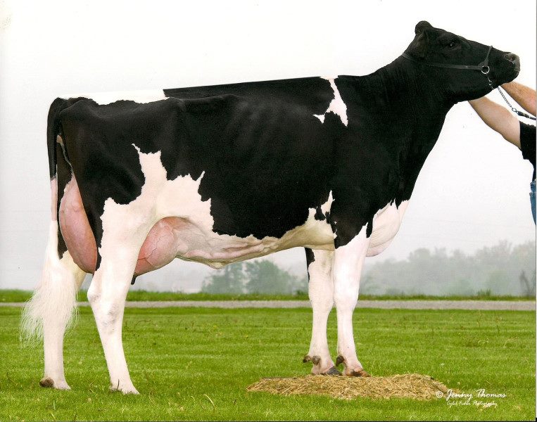 Cedar-Wood Damion Wendy scores EX-94