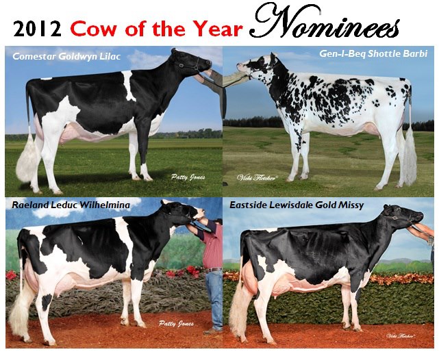 430938_406149969464250_1023765300_n[1]