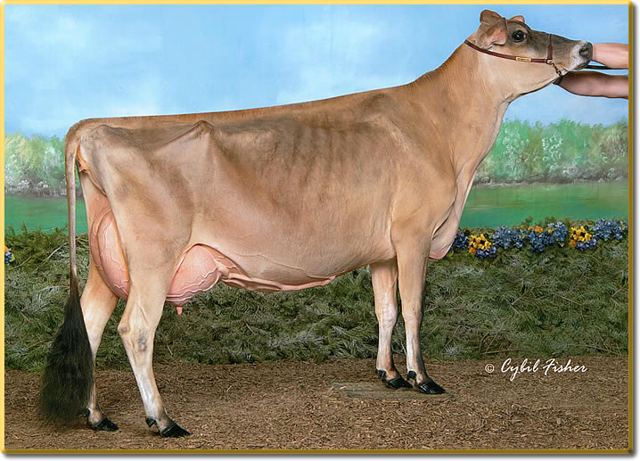 Elliotts Vivid Deluxe now EX-94